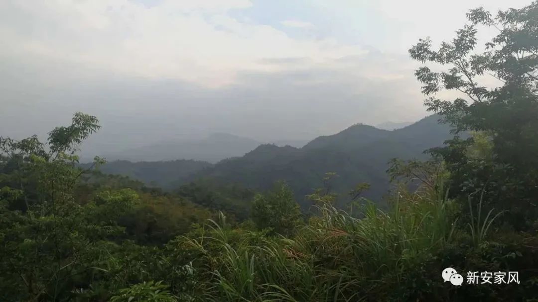 船舶的历史书籍_船的研究历史_历史航船