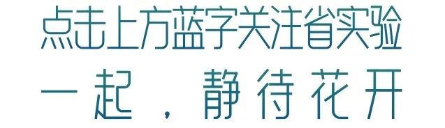 德国国外学校教育司中国区负责人一行访问省实验