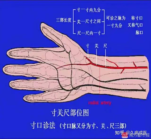 古本易筋经原文_古本竹书纪年_古本