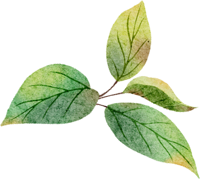 探索06_探索2_探索星球