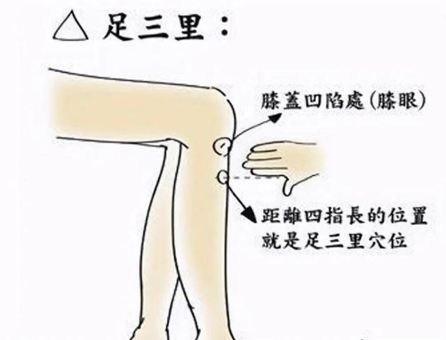 国学图片大全大图_国学图片_国学图片头像
