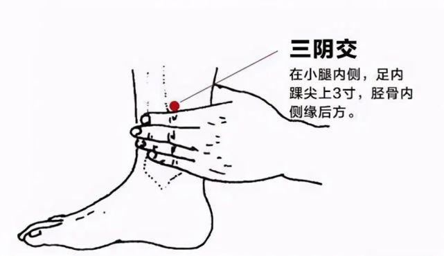 国学图片大全大图_国学图片_国学图片头像