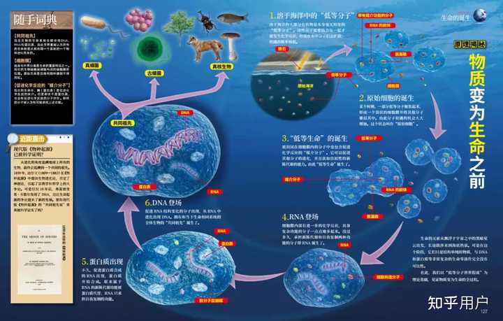 探索科学百科书籍_探索科学百科_科学探索百科全书