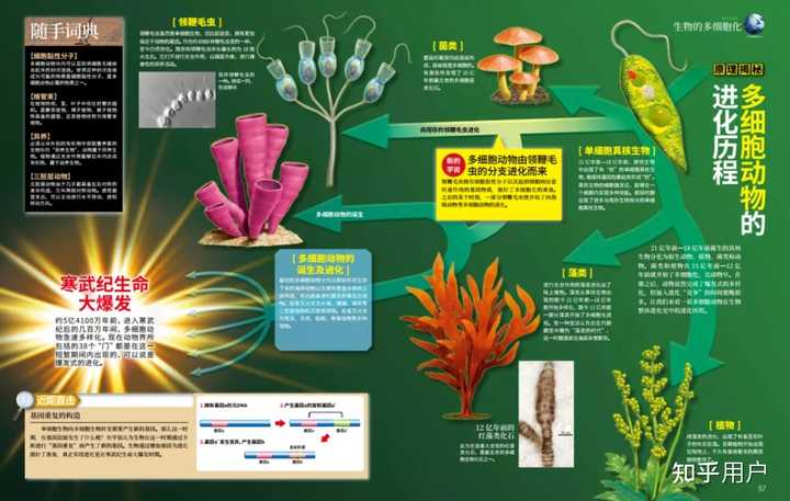 探索科学百科书籍_探索科学百科_科学探索百科全书