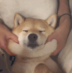 传说之下_七界传说前传与七界传说_传说