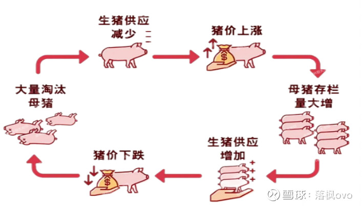 生猪板块逻辑 讲到猪肉，从历史来看猪肉走势呈现周期性变化