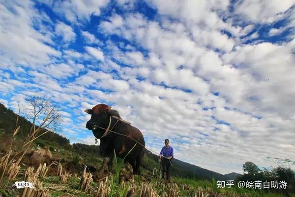 绩溪名人故居_绩溪历史名人_绩溪历史有哪些名人