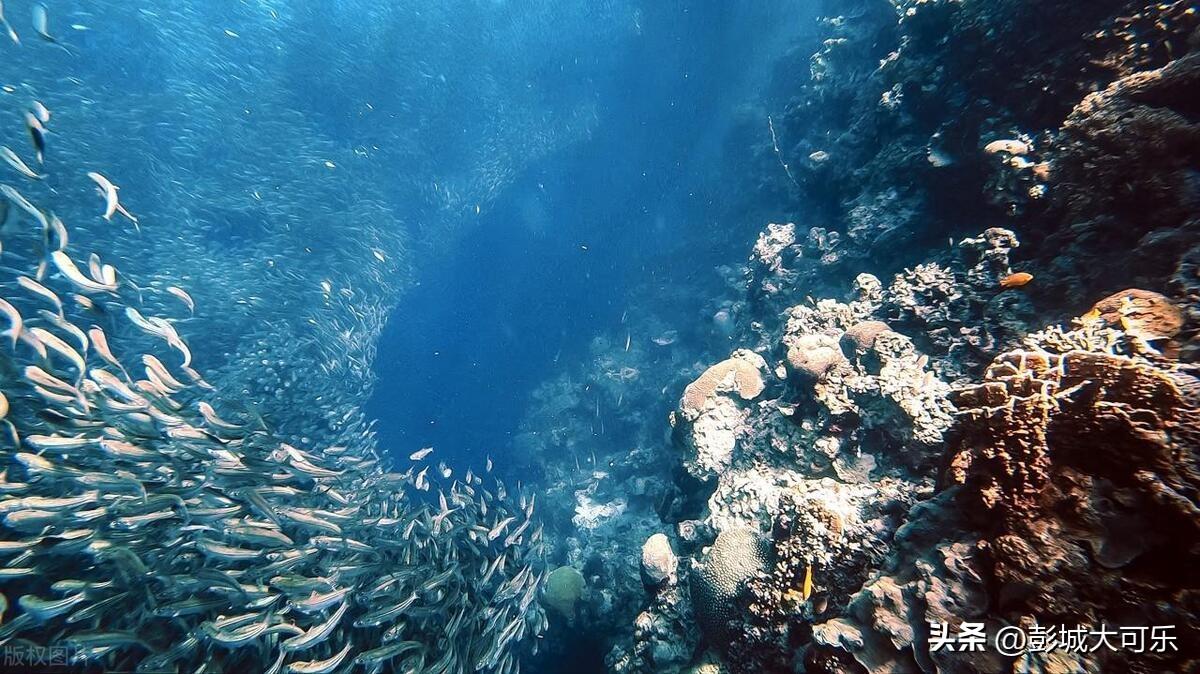 人类探索海洋的历史_人类探究海洋_探索海洋的人