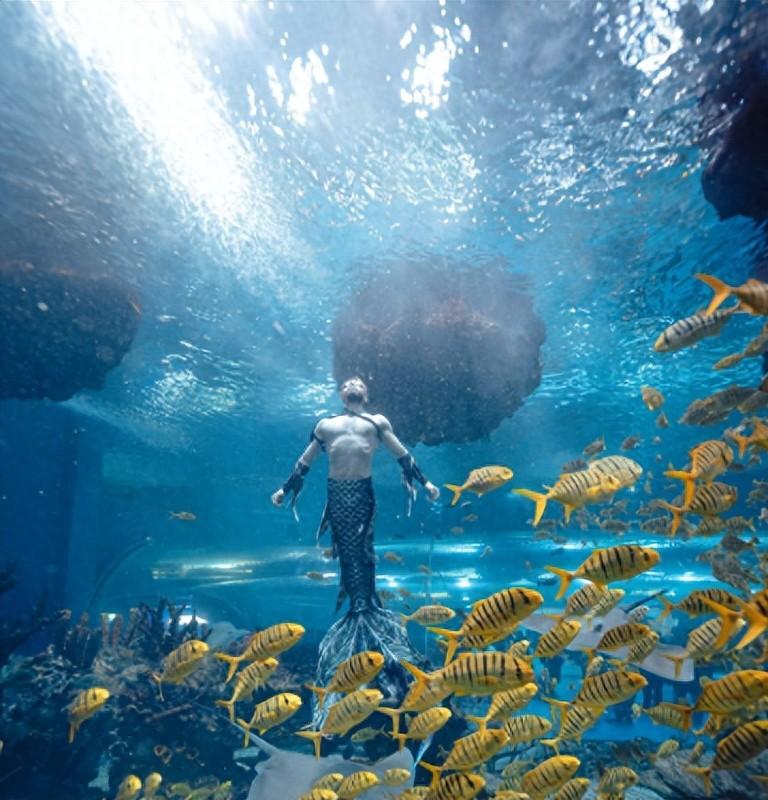 探索海洋的人_人类探索海洋的历史_地球海洋人类探索了多少