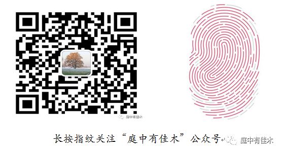 宋江人物形象分析_水浒传人物宋江分析_阿q人物正反面形象分析