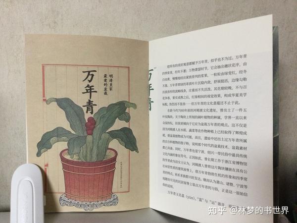 探索身边历史的书_探索身边历史的书籍_探索身边的历史