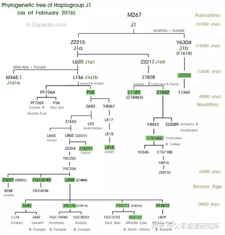 人物阿联酋历史简介_阿联酋的历史人物_人物阿联酋历史介绍