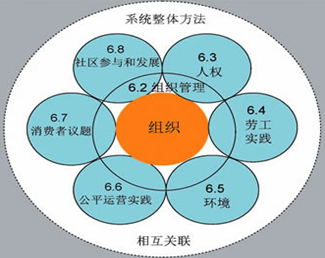 责任社会组织是什么_责任社会组织是什么意思_什么是组织的社会责任