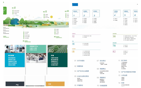 什么是组织的社会责任_责任社会组织是什么意思_责任社会组织是什么