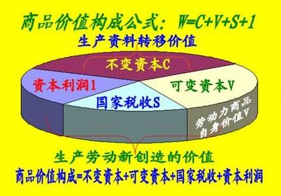 中国有资本主义社会吗_国内的资本主义_社会主义新农村建设关