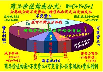 中国有资本主义社会吗_社会主义新农村建设关_国内的资本主义