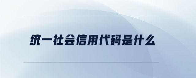 企业统一社会信用代码