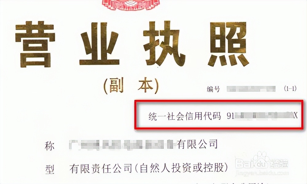 企业的社会信用代码_企业社会信用代码查询_信用查询代码社会企业怎么填