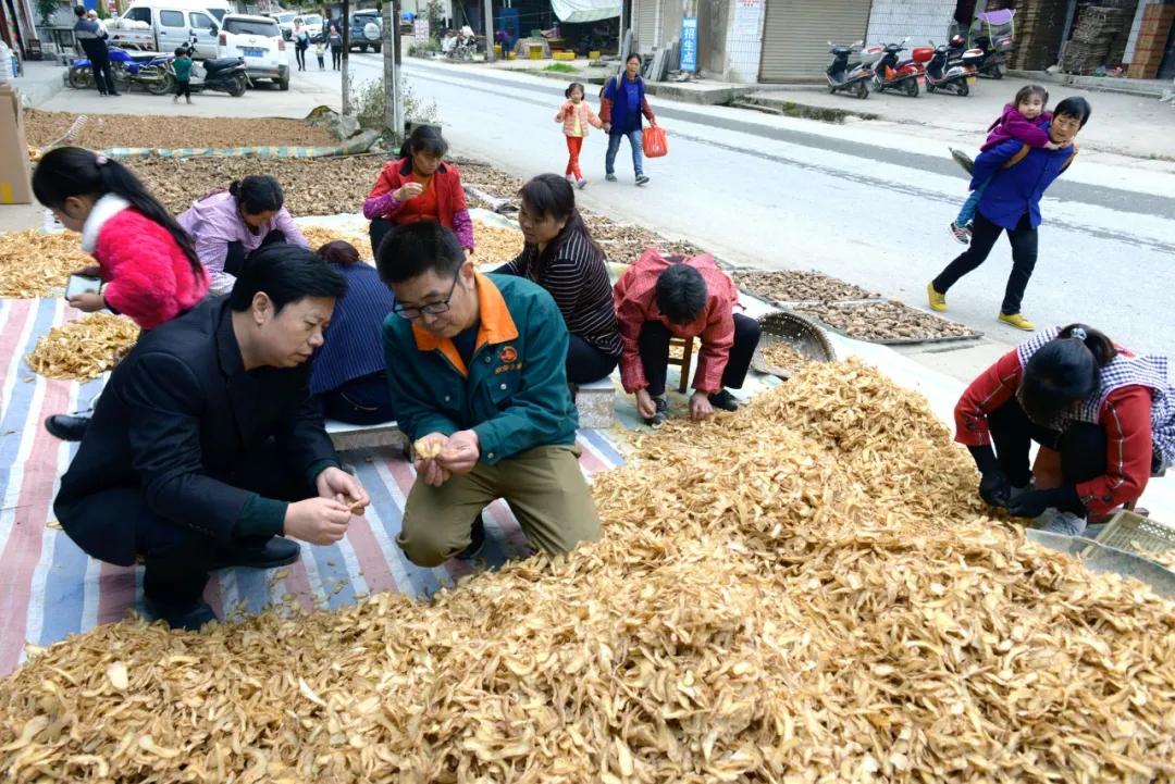 政协文史工作总结_政协文史总结工作报告_政协文史工作汇报