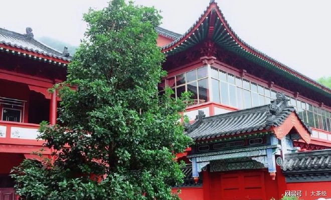 国学大师网_国学大师秦东魁讲座_大师国学
