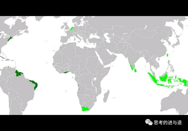 现在世界上的社会主义国家_世界社会主义国家_第一个社会主义国家