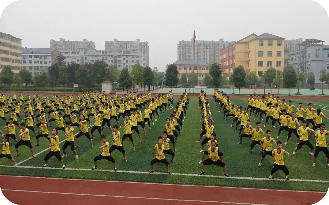 国学老师资格证怎么考_国学老师起名_国学老师