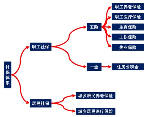 补交社会保险_社保补交以后能报销吗_社保补交有大招