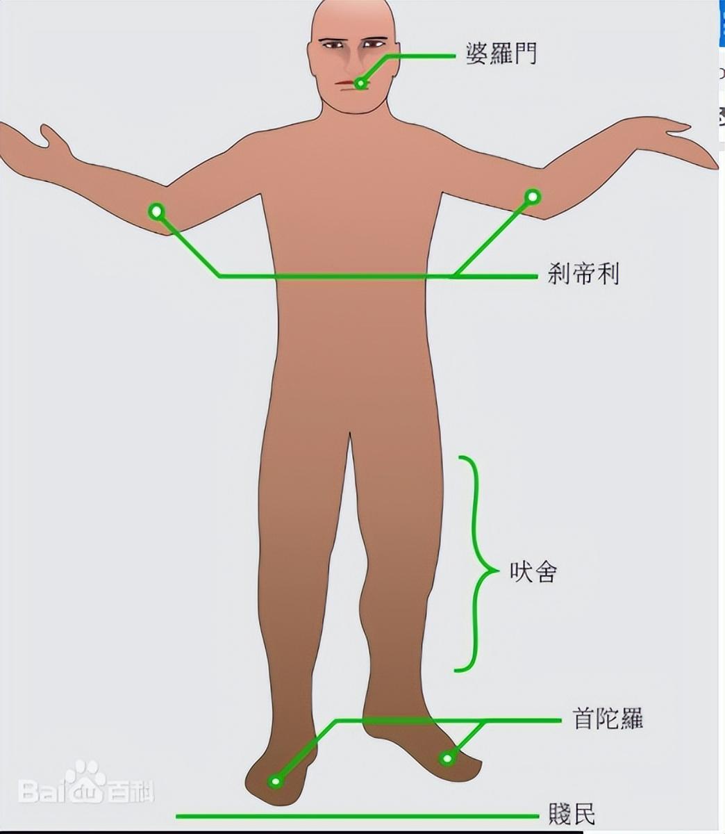 婆罗门等级制度_婆罗门主义_婆罗门的社会阶层