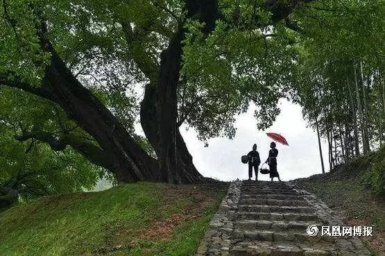 福鼎历史人物故事简短_福鼎历史名人_福鼎市的历史人物