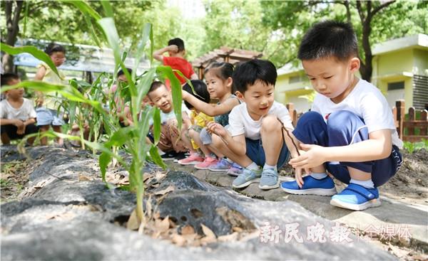 探索2_奥秘探索_探索宇宙的探索历程