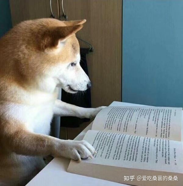 中国学位与研究生教学信息网_学位和研究生教育信息网_中国学位与研究生教育信息网