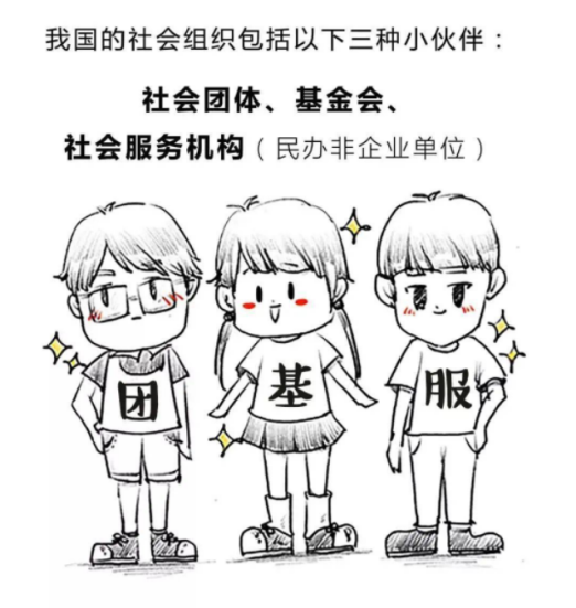 社会组织的基本特征_社会基本特征包括哪些_特征社会基本组织是什么