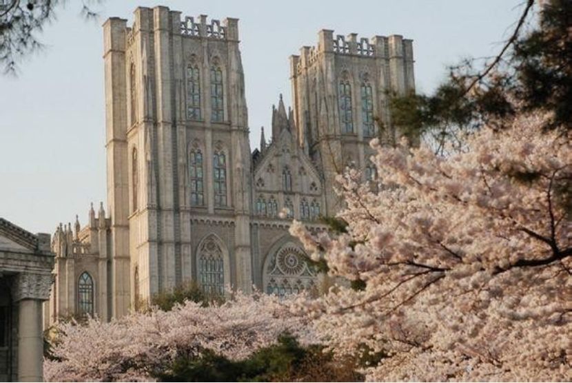 韩国学_韩国学生累还是日本学生累_韩国学医美专业要求