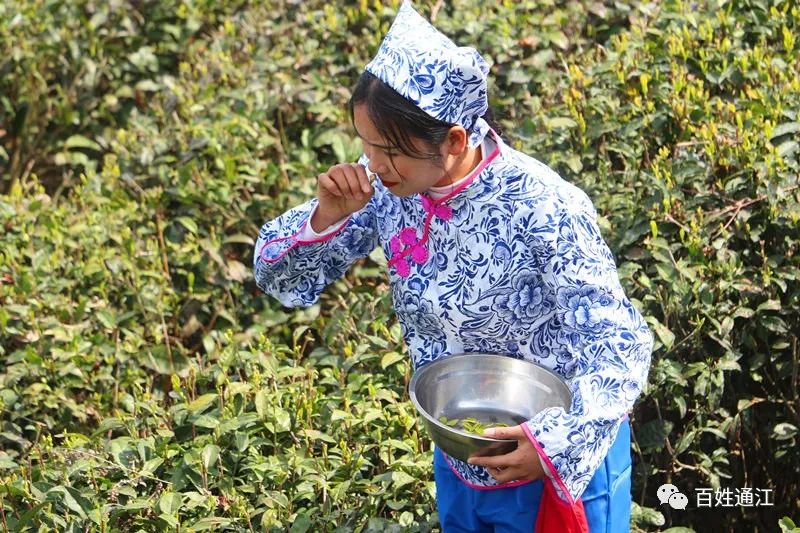 史料记载_霍去病史料记载_朱仙镇大捷真实史料记载