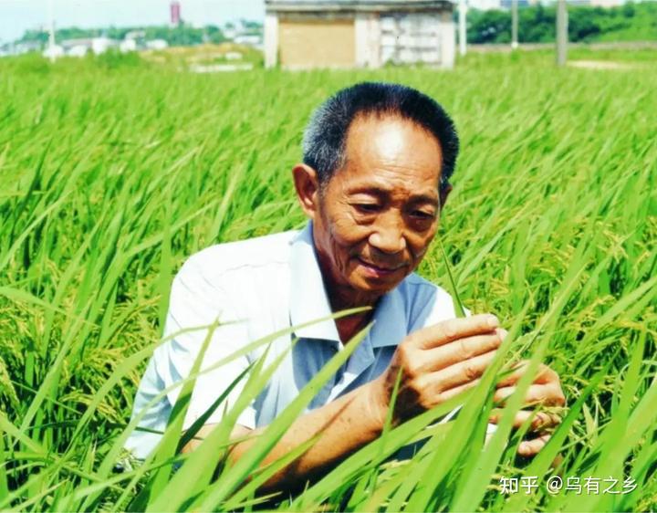 形成社会舆论_舆论的社会_举例说明社会舆论形成的过程