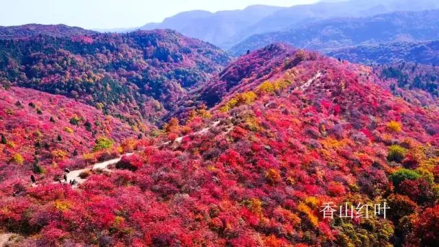 韩城文史公园投资_韩城文史公园拆除违建_韩城文史公园