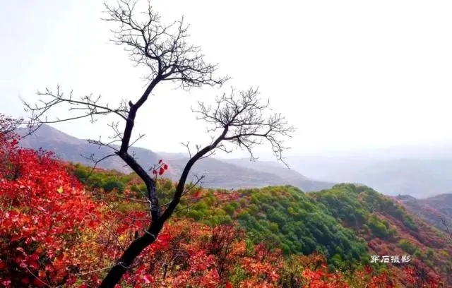 韩城文史公园投资_韩城文史公园拆除违建_韩城文史公园