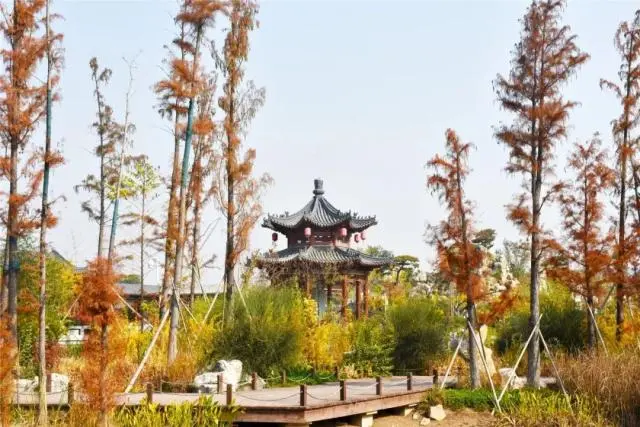 韩城文史公园_韩城文史公园拆除违建_韩城文史公园投资