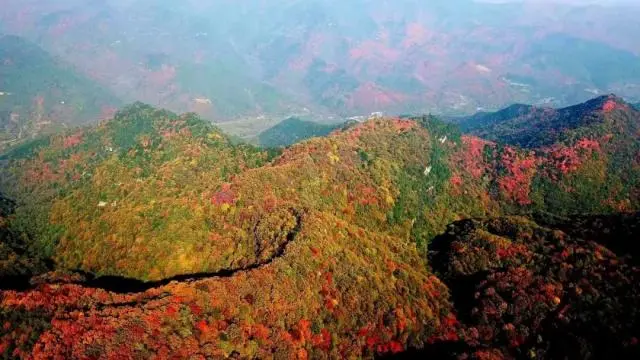韩城文史公园_韩城文史公园投资_韩城文史公园拆除违建