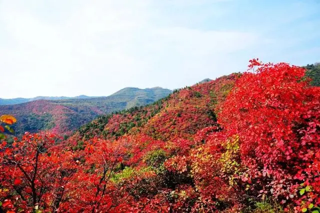 韩城文史公园拆除违建_韩城文史公园_韩城文史公园投资