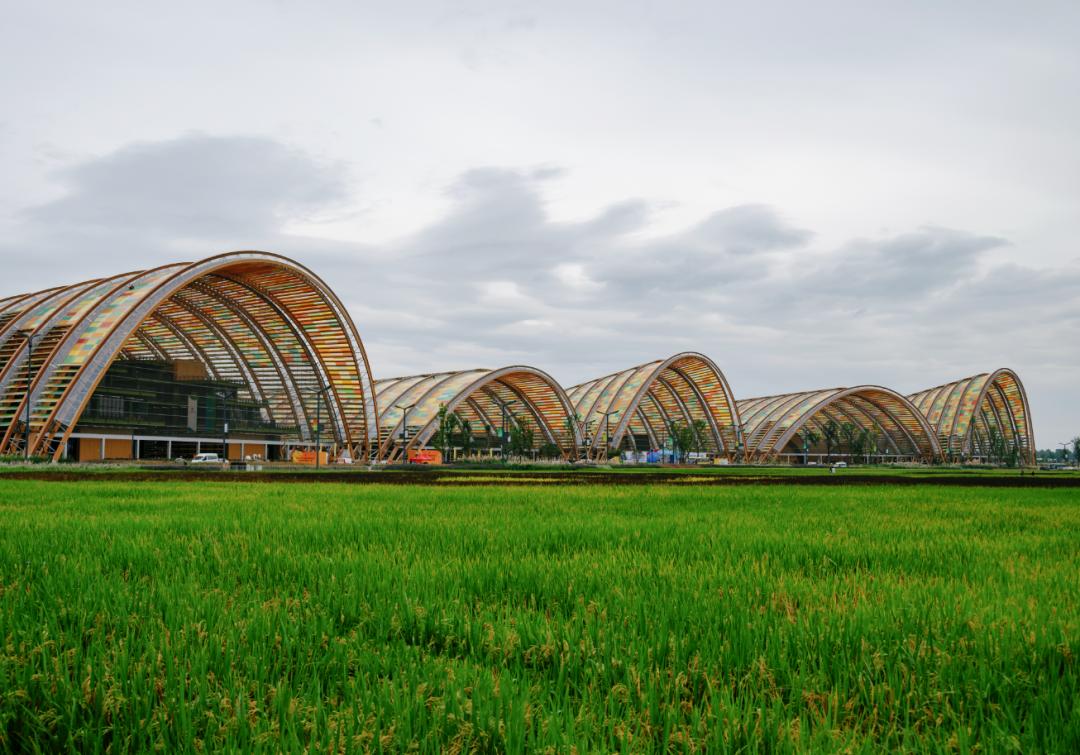 都江堰历史背景_都江堰历史_都江堰历史价值