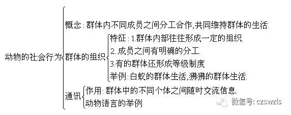 猩猩的社会行为_猩猩的社会化行为有哪些_猩猩社会性