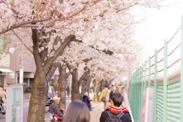 外国学生宿舍谋杀案_外国学生_外国学生欢迎会英语