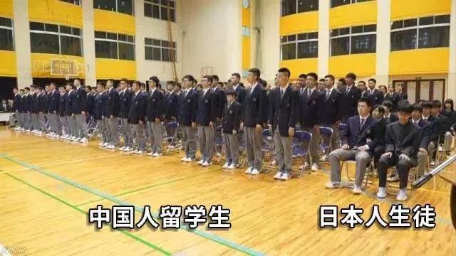 外国学生宿舍谋杀案_外国学生_外国学生的英文