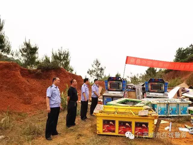 风气社会情况怎么写_社会风气情况_社会风气现状