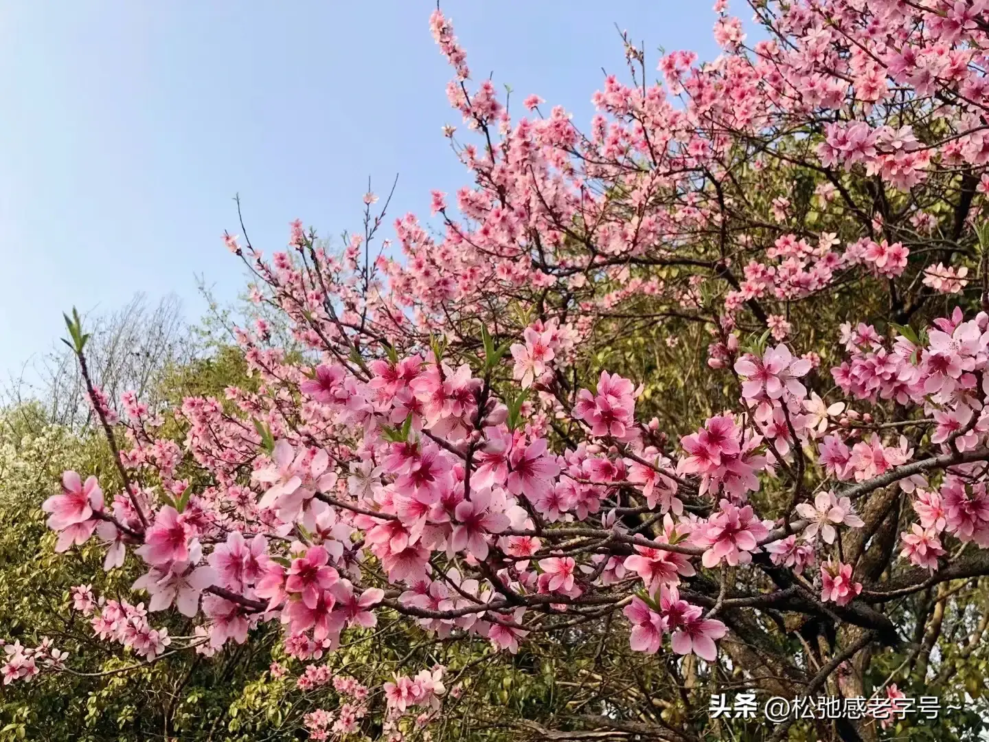 通过什么了解社会_可以通过什么方式了解社会_了解社会生活的方式有哪些