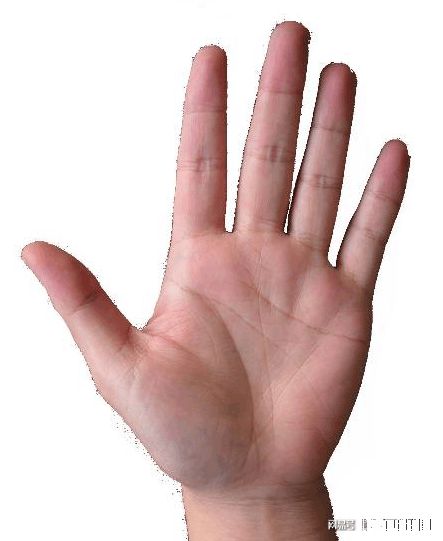 女人断掌克夫，男人右手断掌好吗