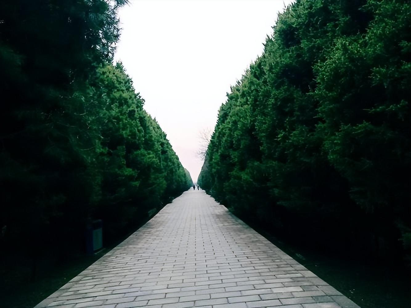 考古文物对历史研究的重要性_考古文物的意义_考古文物重要性历史研究报告