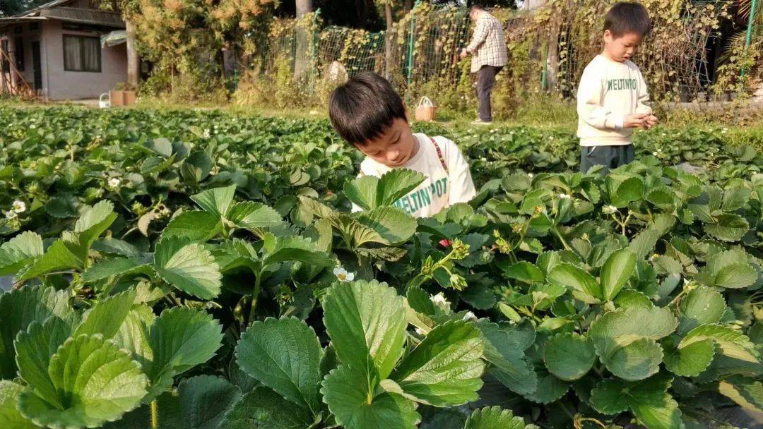 国学园幼儿教师工作内容_国学幼儿园宣传图片_国学幼儿园