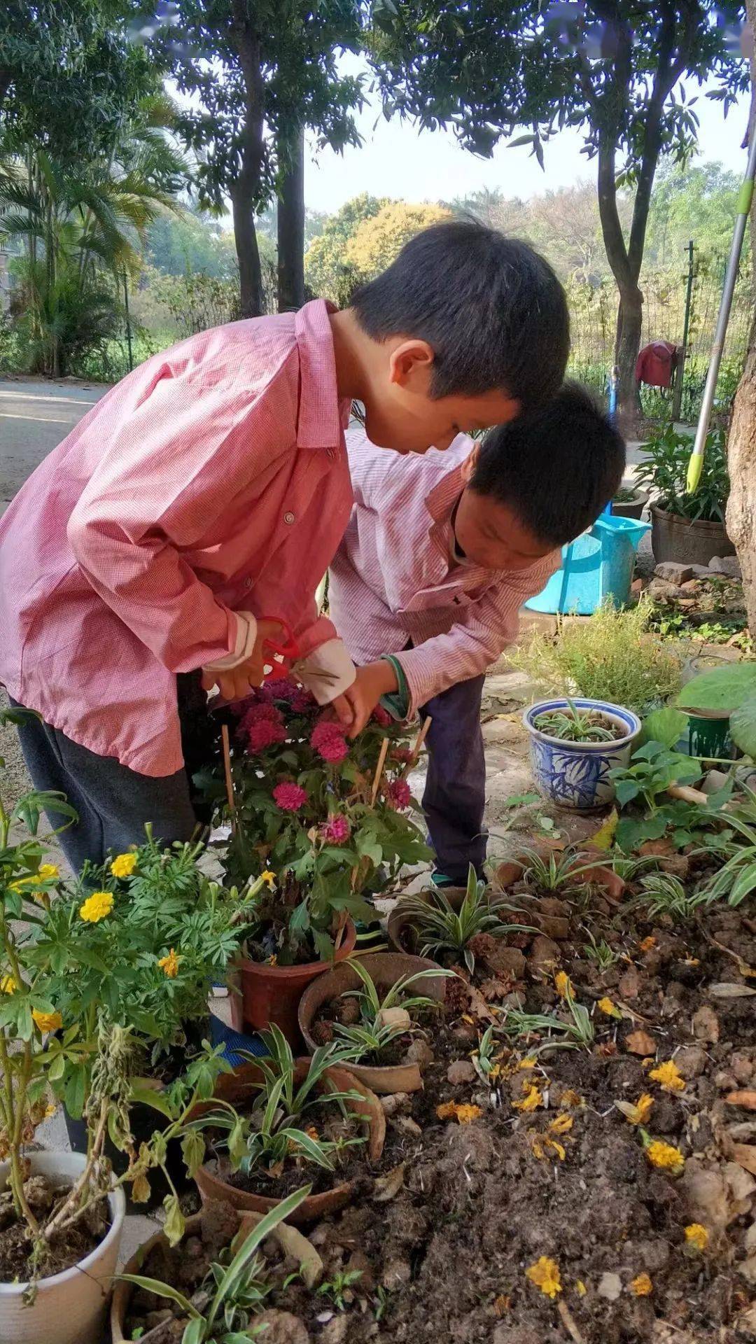 国学园幼儿教师工作内容_国学幼儿园_国学幼儿园宣传图片